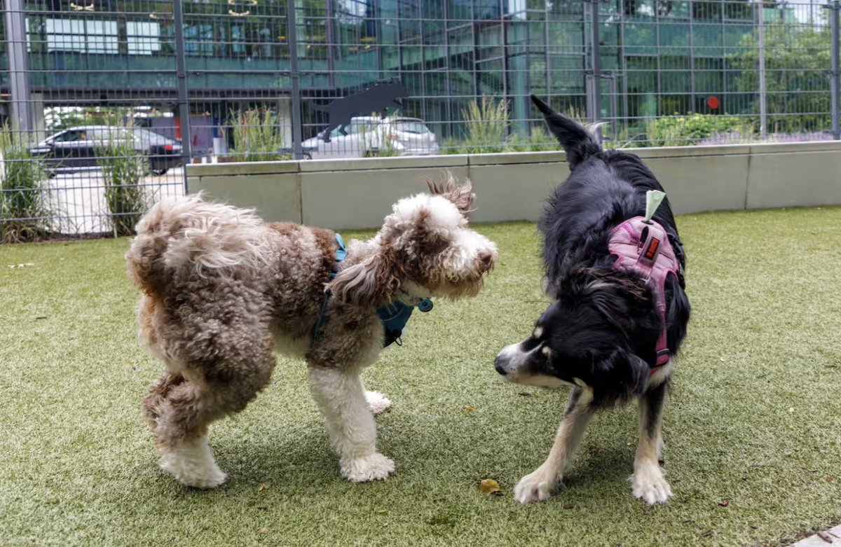 pensa_systems's tweet photo. If you know, you know. High spending pet owners are fueling a $500B pet boom. Read about Mars-Pet's strategy to take full advantage https://t.co/fVQfAaylh7 https://t.co/OUcZRUbA5z