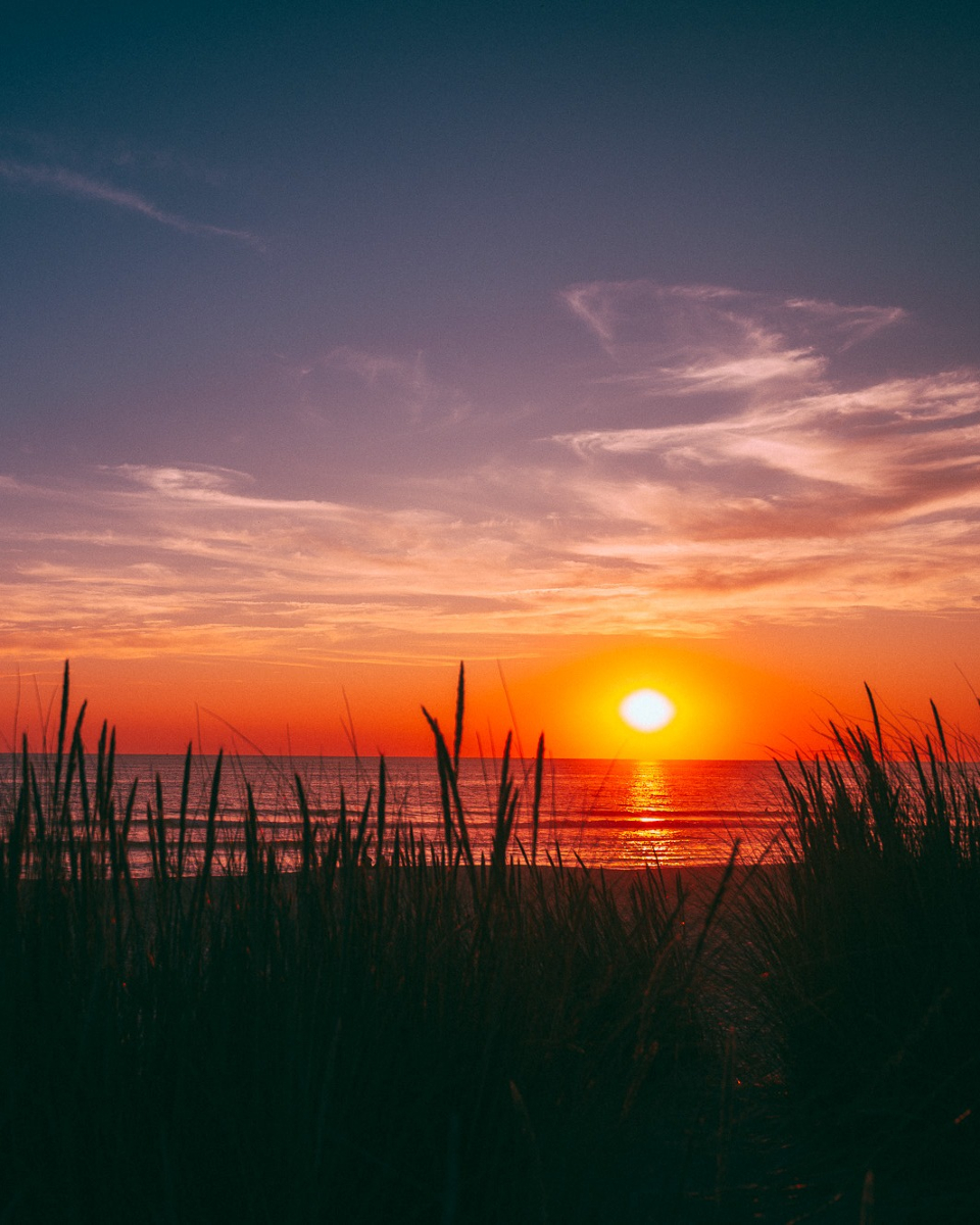 cedriclagarde's tweet photo. Moment détente au coucher de soleil.
Carcans océan.
.
.
.
.
#bordeaux #bordeauxmaville #bordeauxmetropole #photographer #gironde #photographer #photographe #photography #photographie #nature #ocean #plage #carcansplage #carcansocean #oceanatlantique #art #photo #coucherdesoleil https://t.co/nzKnfYbhhK