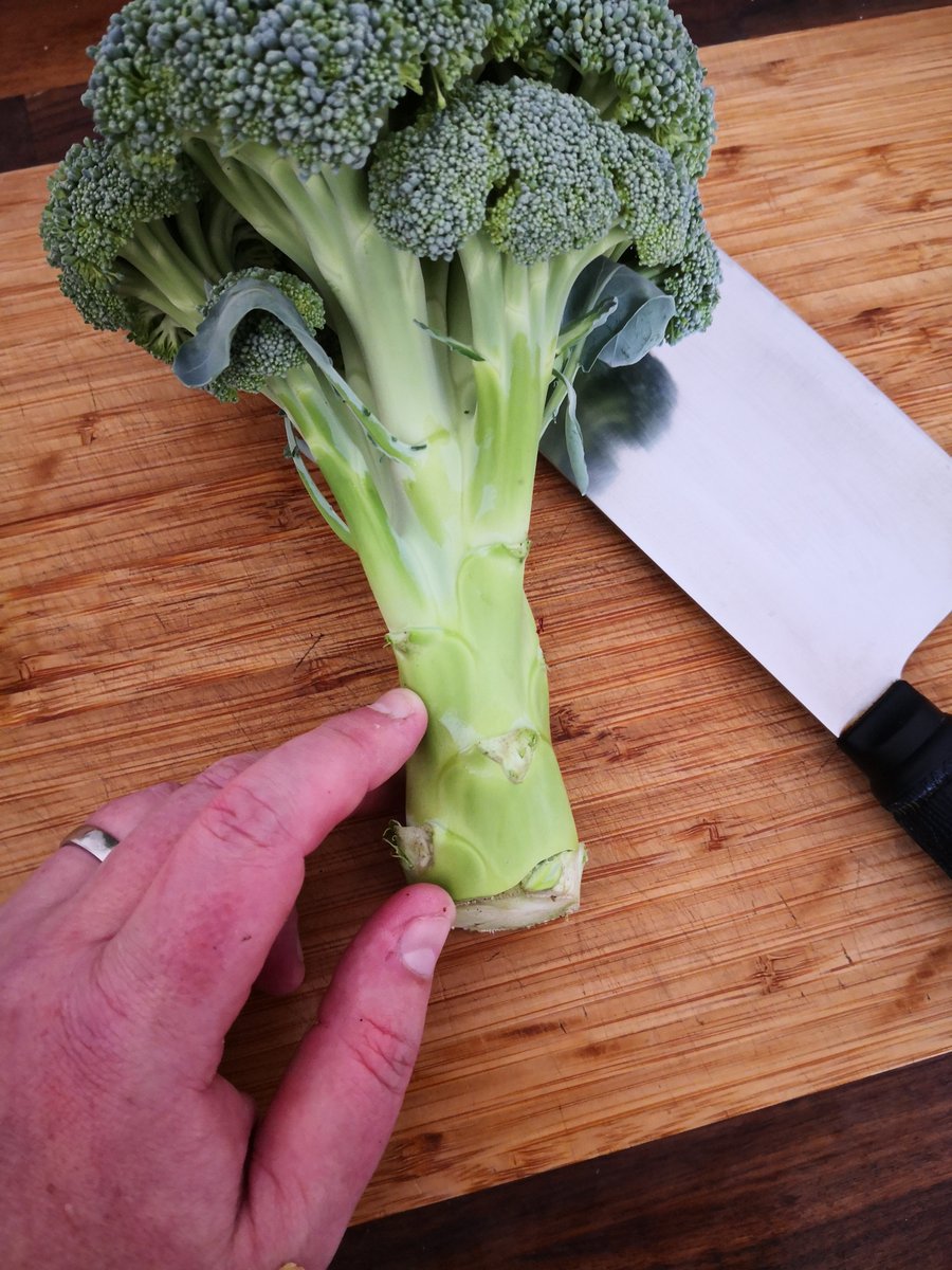 Growseed tweet media