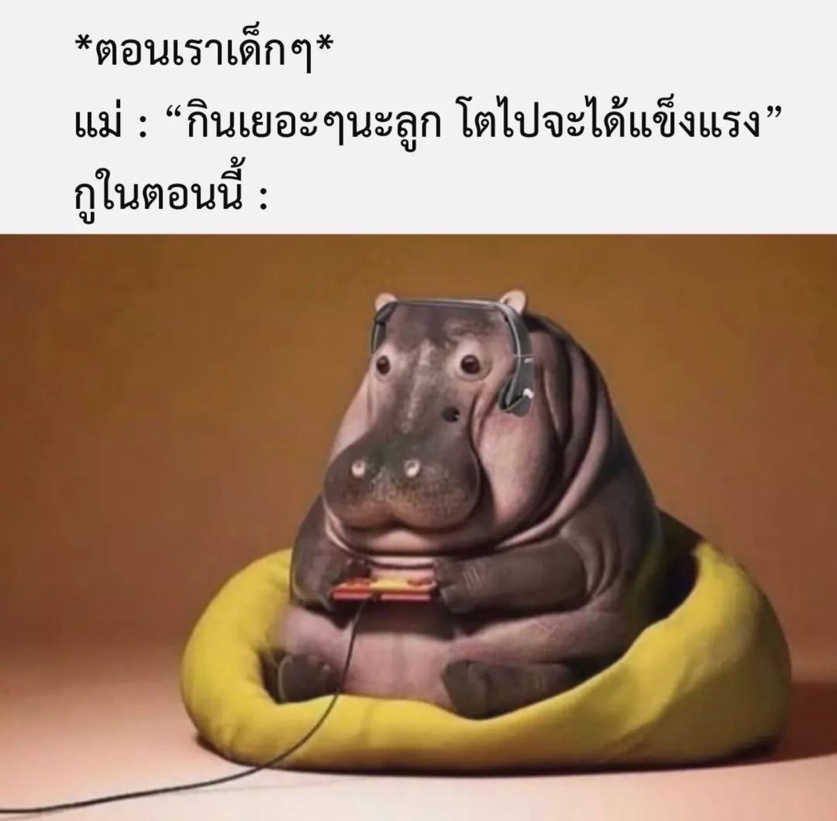 ความจริงมากก 555555555555555555555