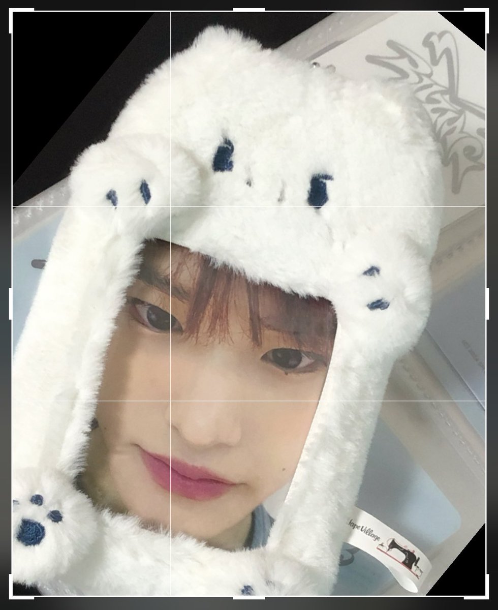 ssoheefangirl's tweet photo. 가까이 보면 안돼.. 왕귀엽거든 
 #해피_히뽀리_데이 https://t.co/f7V9nbJoSy