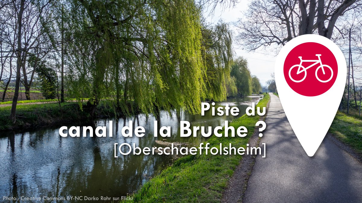 Pédaleurs Pédaleuses tweet media