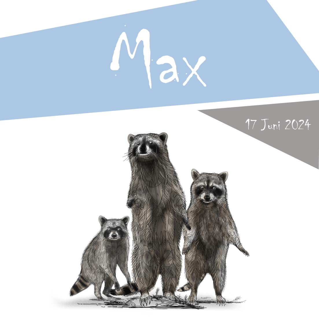 With the birth of Max, my family (and <a href="/DZIAAIZD/">DZIA&SONS</a> collection) is now complete!