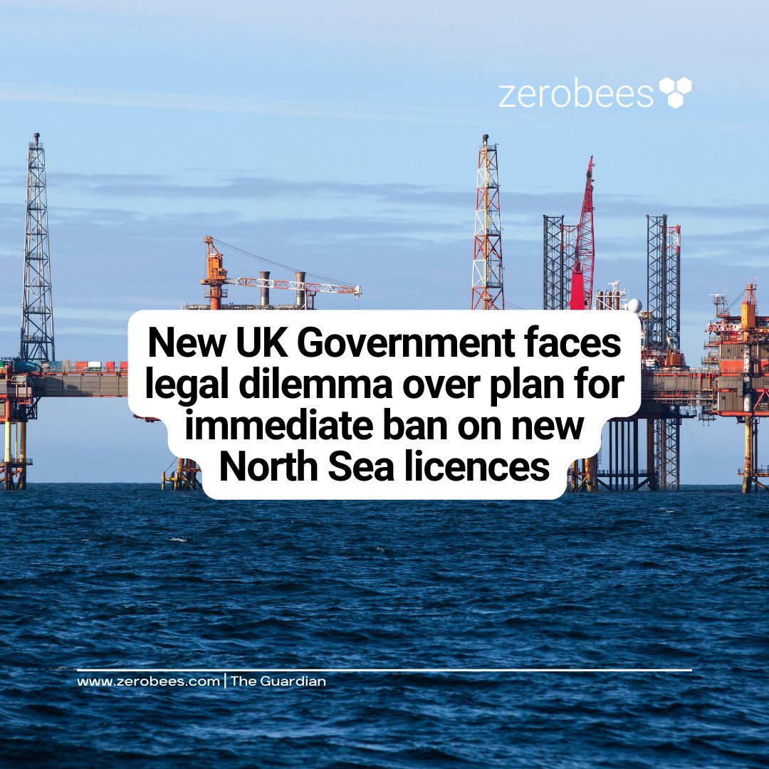 Zerobees tweet media