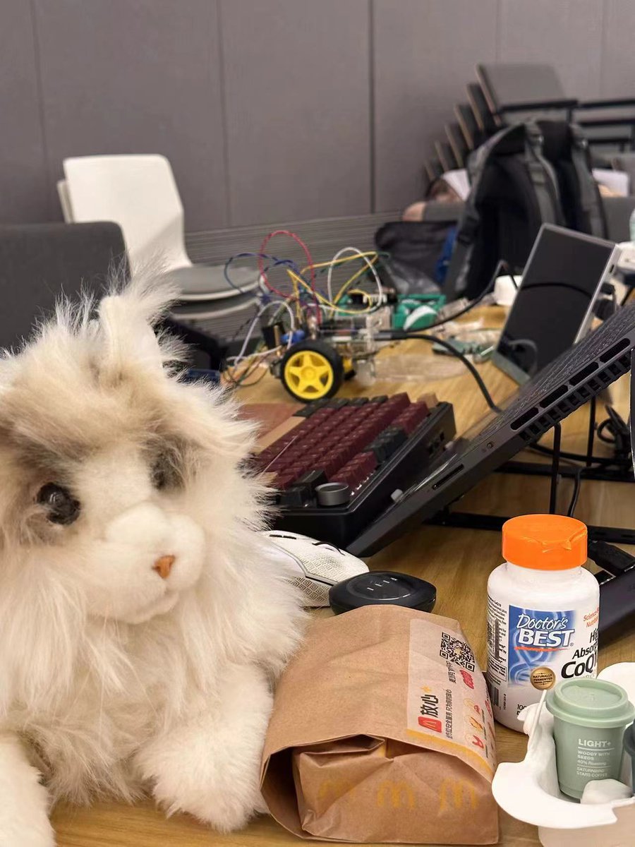 meta_Robotics's tweet image. 😺💻metaCat stayed up late for #hackerthon game.
Hacker cat 🐾might conquer the Raspberry Pi challenge! @adventurex_plan
#AdventureX #HackerCat #RaspberryPi #CatCompanion