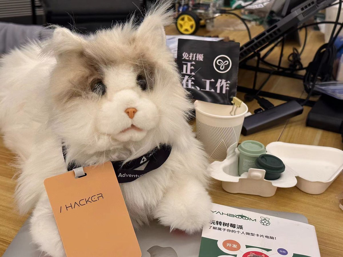 meta_Robotics's tweet image. 😺💻metaCat stayed up late for #hackerthon game.
Hacker cat 🐾might conquer the Raspberry Pi challenge! @adventurex_plan
#AdventureX #HackerCat #RaspberryPi #CatCompanion
