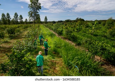 yiyin31405222's tweet photo. 193　Agroforestry has restored greenery, nature, and food. Perhaps the herbs left behind by "danshari" can heal people's hearts! (31h)
#agroforestry
#danshari
#herbs https://t.co/yraYWKmoeY