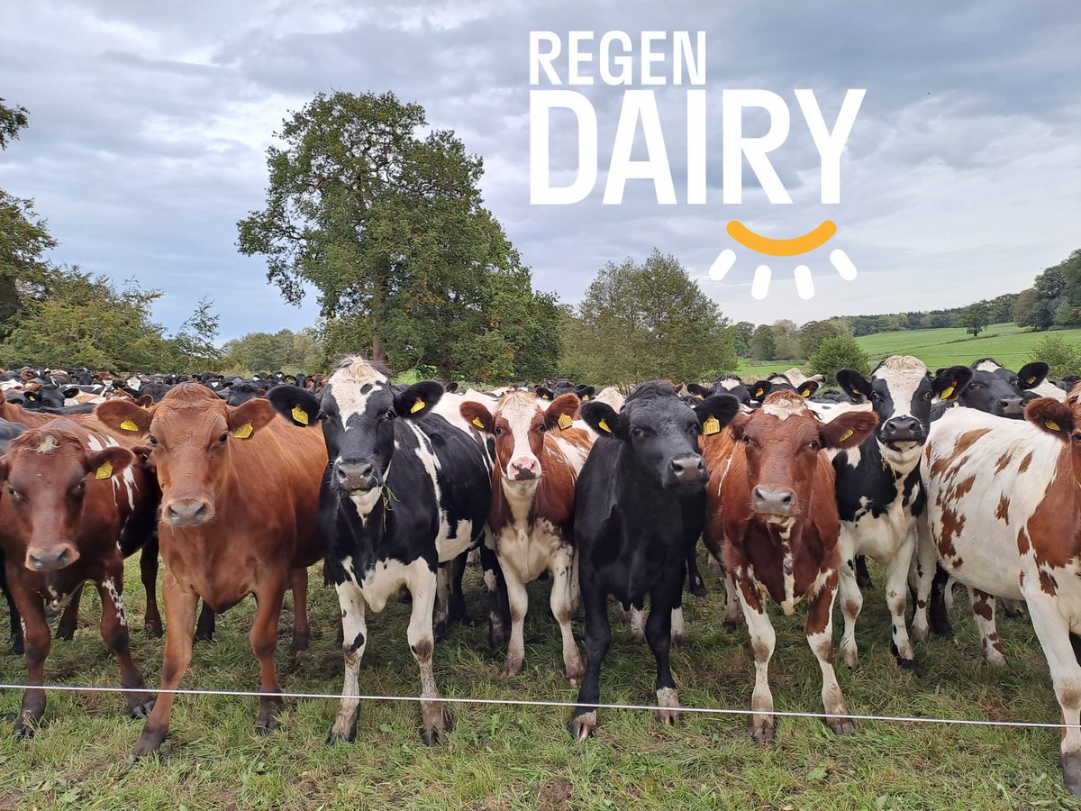 📢 Calling all dairy farmers!

The Regen Dairy Project has launched a new free course. Discover real-life examples and practical training to start your regenerative dairy journey.

Find out more at: regendairy.org/training-cours… 

#RegenerativeFarming #DairyInnovation