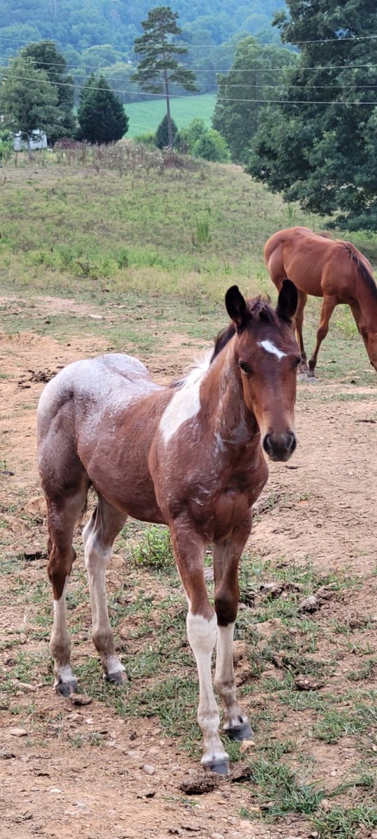 ImmaSouthpaw tweet media