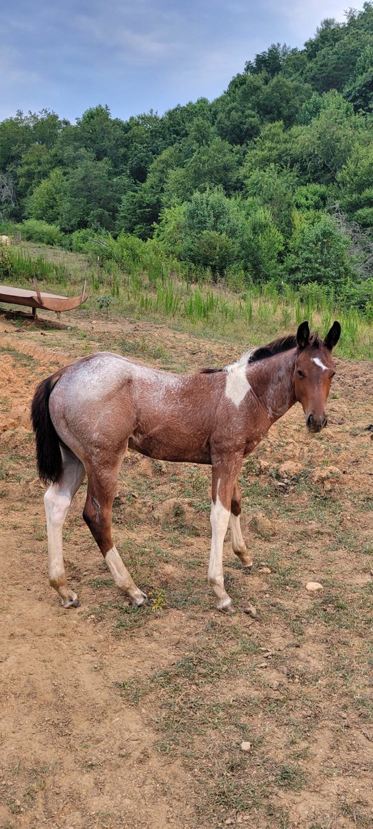 ImmaSouthpaw tweet media