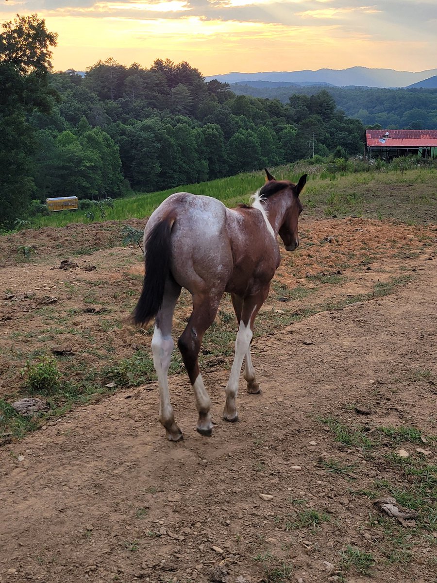 ImmaSouthpaw tweet media