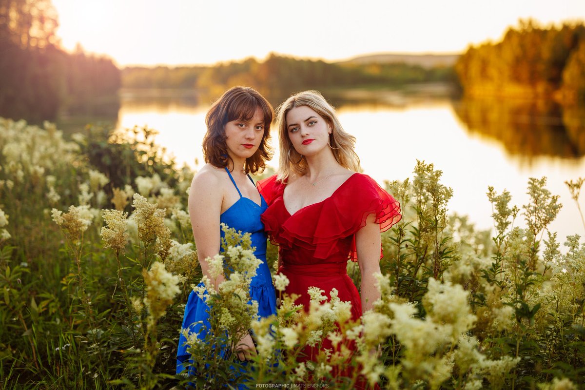 Charm of Finches tweet media