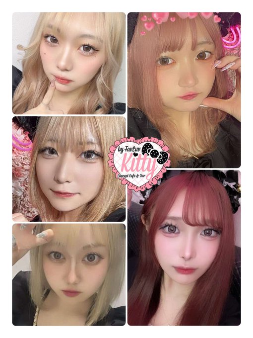 Kittyのツイート