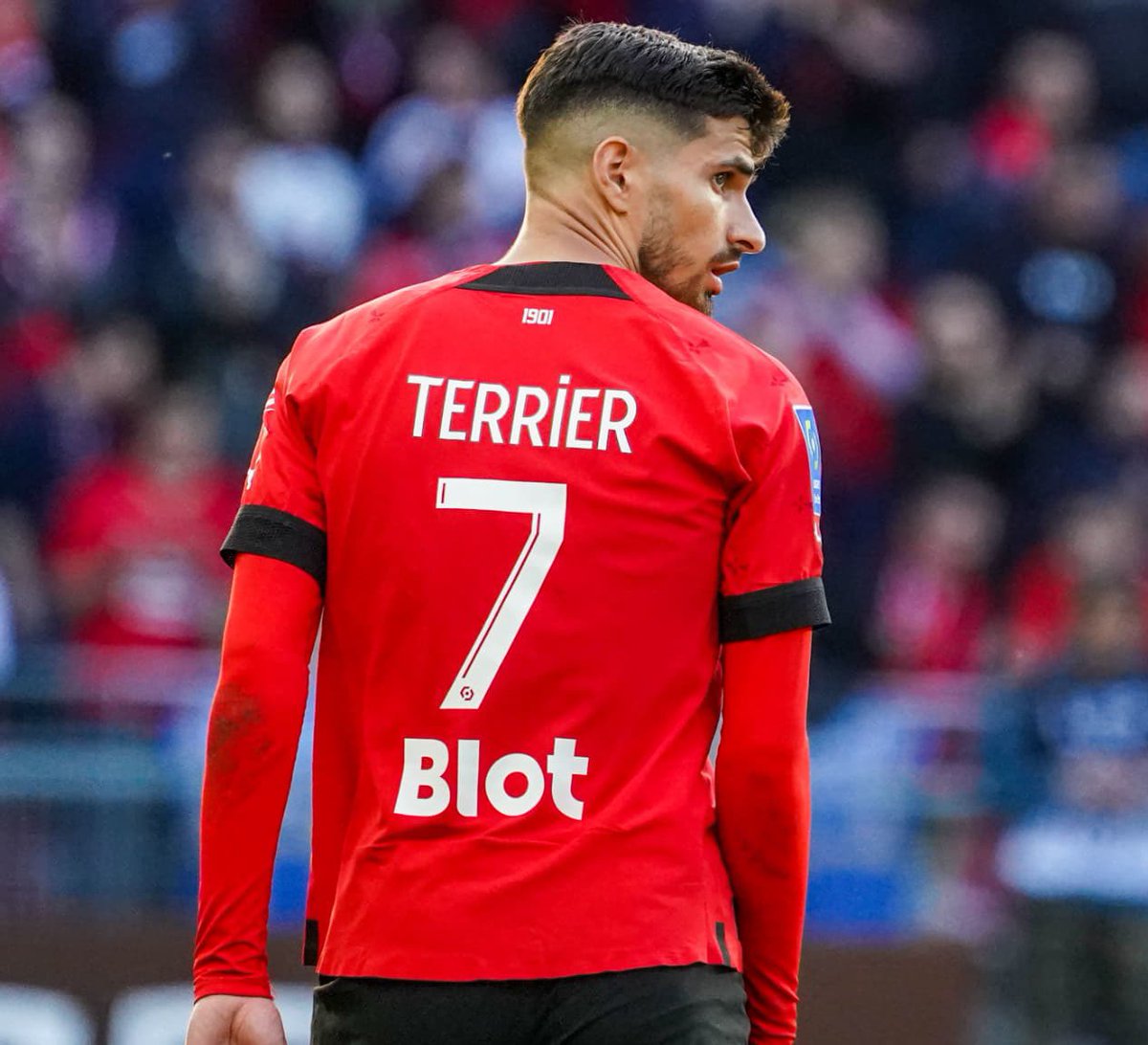 🚨 Le Bayer Leverkusen veut RECRUTER Martin Terrier 🇫🇷 (27 ans) cet été ! 🔥🤯

Les discussions avancent entre le Champion d’Allemagne et Rennes. Les 2 parties sont très confiantes.⏳

(<a href="/MohamedTERParis/">Mohamed TOUBACHE-TER</a>)