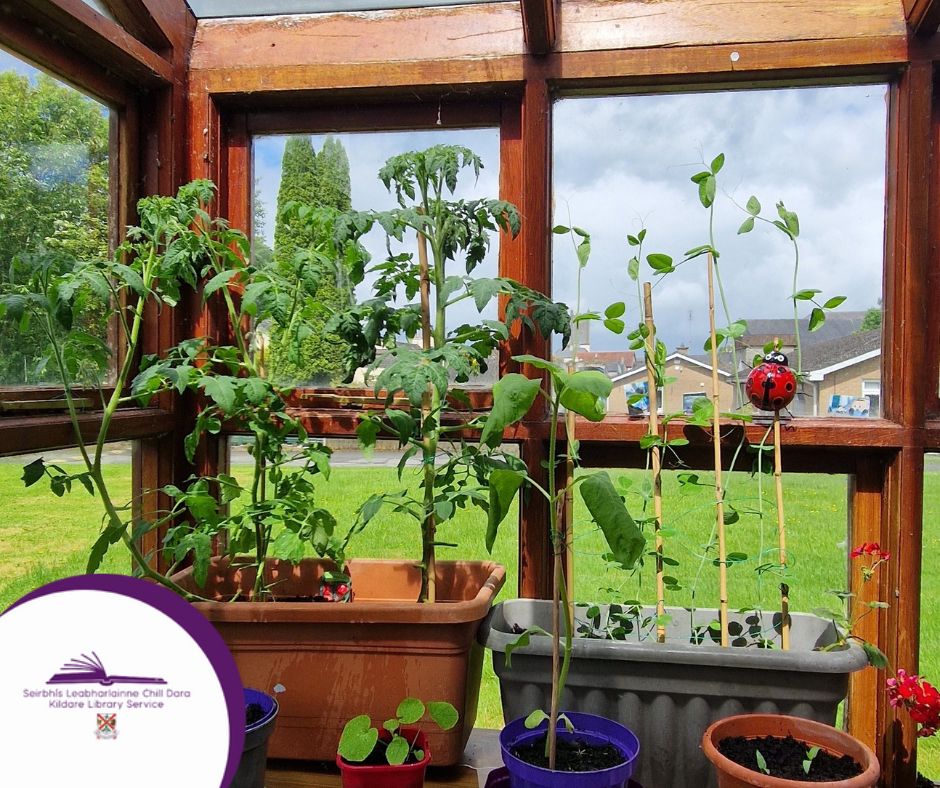 kildarelibrary's tweet photo. Lisa and Leah, two of our lovely regular patrons here in #AthyLib, sent us these photos of their Seed Library endeavours! 😃
Find out what it's all about here👇
https://t.co/dkZRXMLC1G https://t.co/nKUz3FVVew