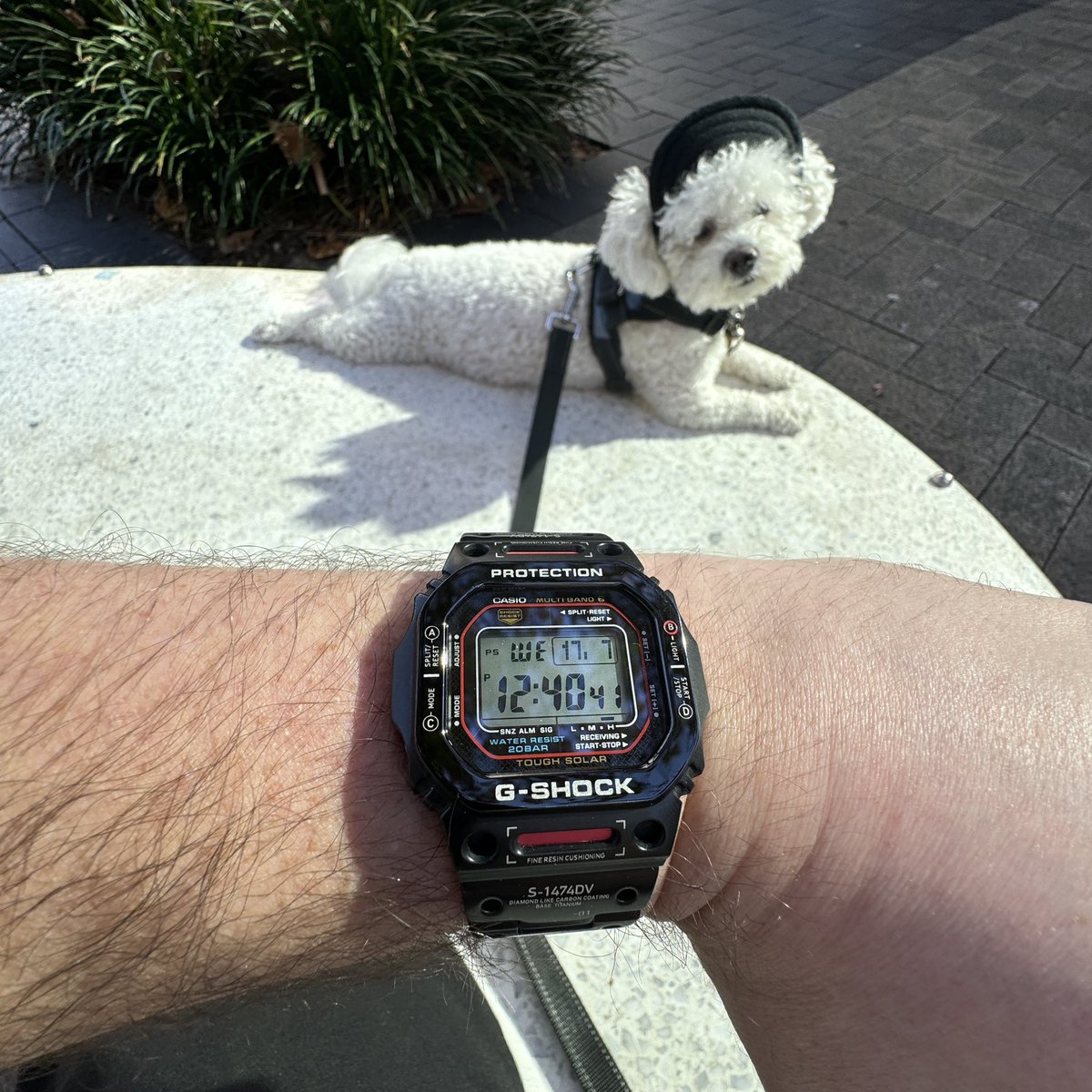 RealGOATReviews's tweet photo. ๐ This G-Shock (GW-M5610U) looks SO good with itโs Steel Upgrade kit! ๐คฉ๐
Follow for more! ๐ Hereโs the video showcasing this simple yet effective mod! ๐ https://t.co/ZMVhxb0dFZ
#gshock #casio #watchmods #watchmodding #WatchOfTheDay #wotd #wristcheck #watches @GShock_US https://t.co/YVeqh3Udo3