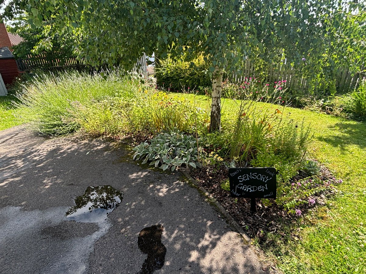 Live Team tweet media