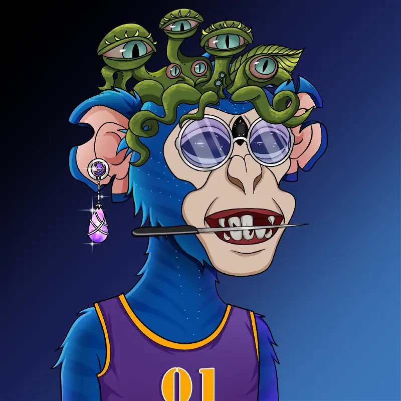 Tommy619🐸 tweet media