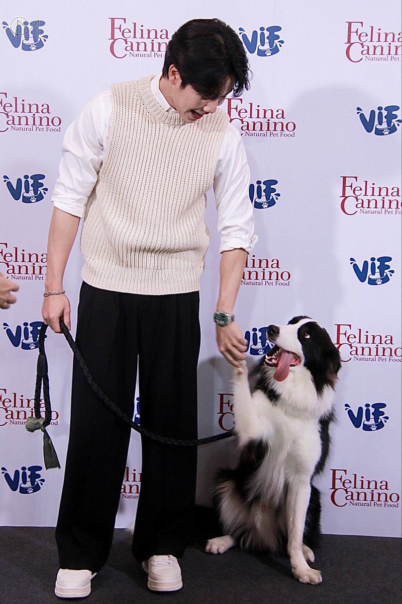 fiifiiiiii's tweet photo. สิ่งนี้น่ารักมาก ป๊าวอร์กะพี่แซมเม่อร์

#FelinaCaninoYes9Happy
#warwanarat #sammerbcollie https://t.co/sNf7TXiPgq