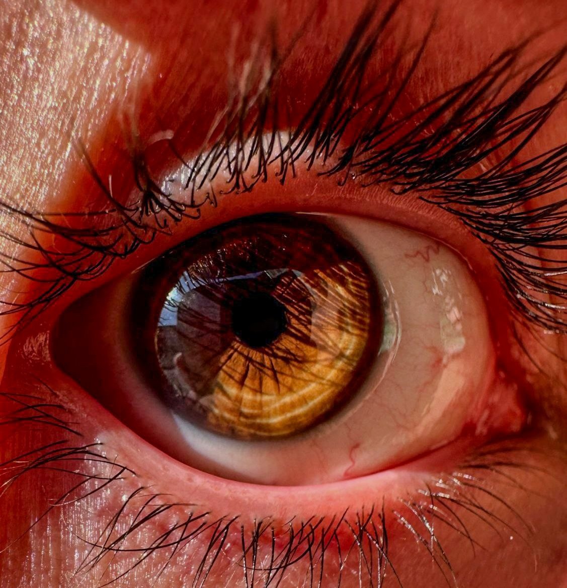 ما پسرا هم راه بندازیم ؟