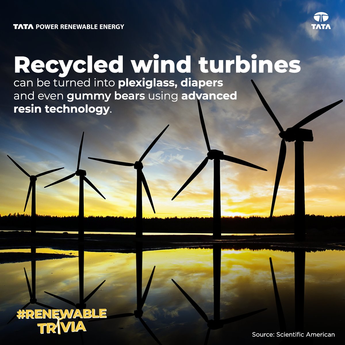 _TPREL_'s tweet photo. Turning the wind turbines into more than just energy. Dive into the world of renewable wonders in our fascinating #RenewableTrivia!
#TPREL #RenewableEnergy #Sustainability #GreenFuture https://t.co/XJ6gfdqXLZ