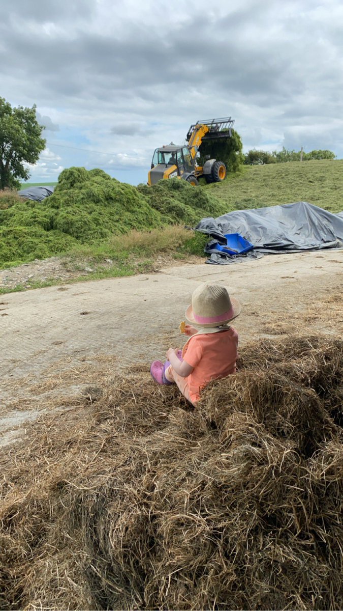 olenehan89's tweet image. Watching Grandad ❤️
@farmersjournal