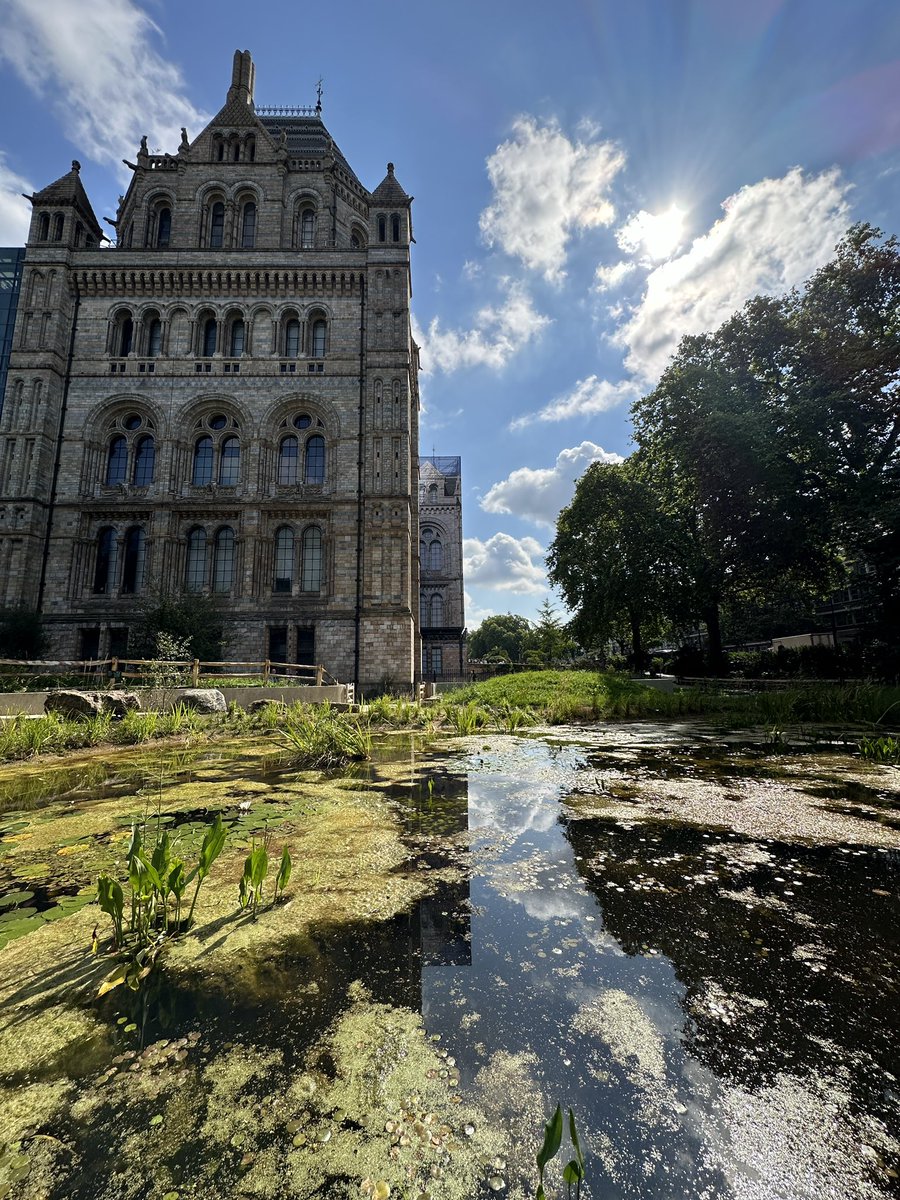 Adrian Glover (@adrg1) on Twitter photo Stunning new gardens open <a href="/NHM_London/">Natural History Museum</a>. Led by science and science through all the many details. Truly inspiring! Well done <a href="/NHM_Science/">Science at the Natural History Museum</a> <a href="/NHM_UKBiodiv/">NHM_UK Biodiversity</a> Stunning new gardens open <a href="/NHM_London/">Natural History Museum</a>. Led by science and science through all the many details. Truly inspiring! Well done <a href="/NHM_Science/">Science at the Natural History Museum</a> <a href="/NHM_UKBiodiv/">NHM_UK Biodiversity</a>