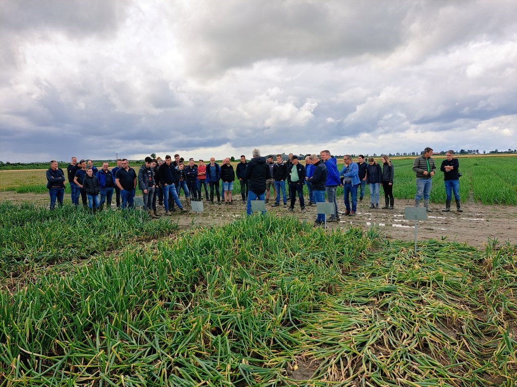 Luc Remijn tweet media