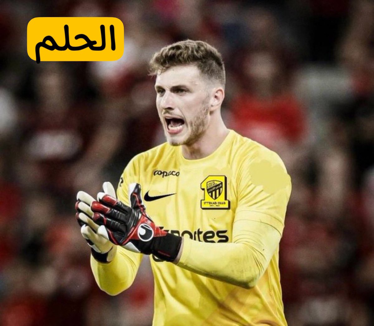 شايـب الهـاص (أبومحمد) tweet media