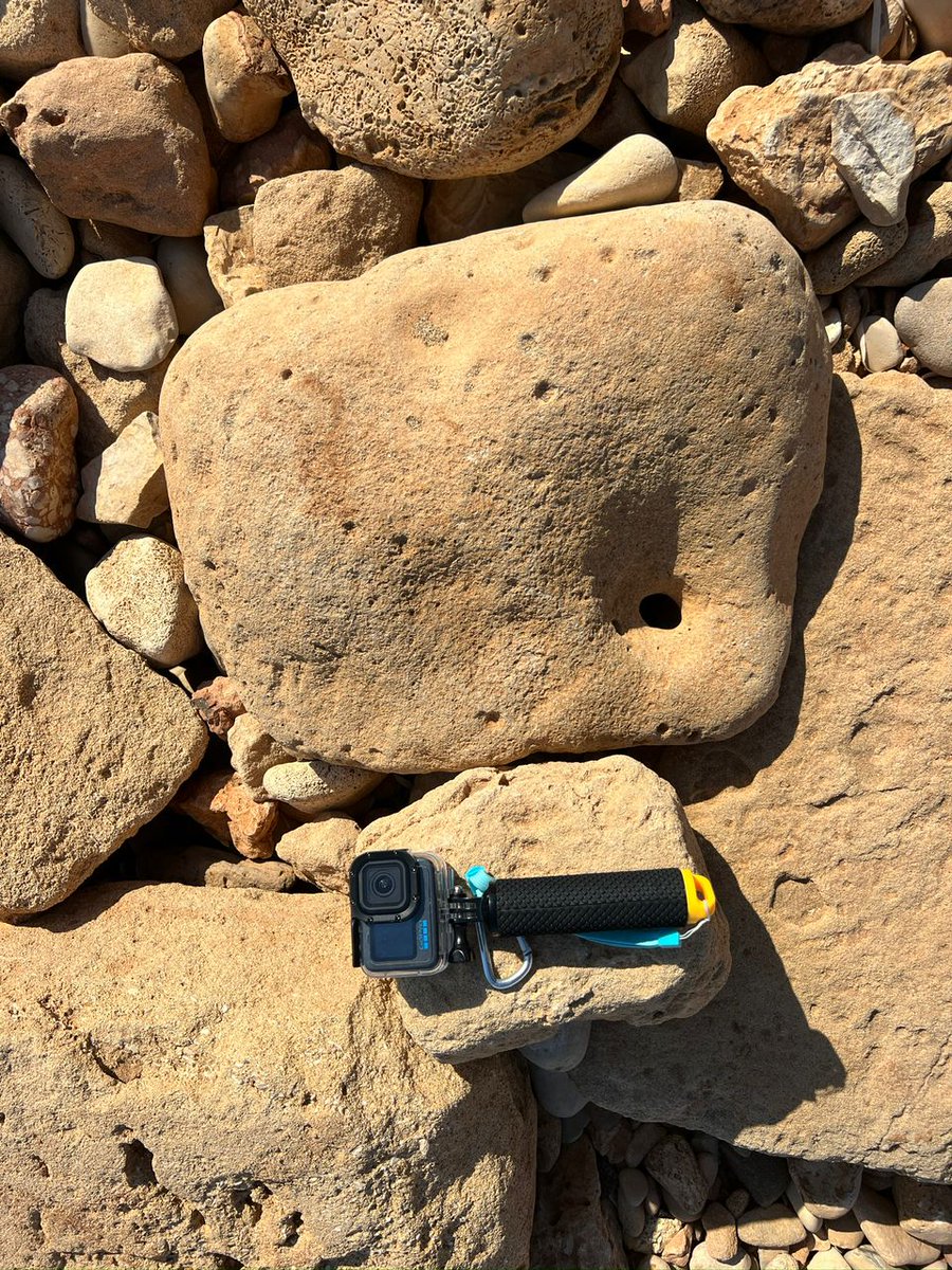 MarEA_project's tweet photo. After the #CulturalProtectionFund training in #underwaterarchaeology, our participants are starting to put what they have learned to the test. Check out  their initial visit to the site of #Tocra in #Libya. We look forward to more!
@britisharts @DCMS @PalExFund  @uobeduly #CMAUCH https://t.co/cojQn9kAJK