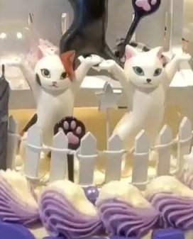 wonwooszone's tweet photo. wonwoo copying the cats' pose 😭 https://t.co/qylSorHUpJ