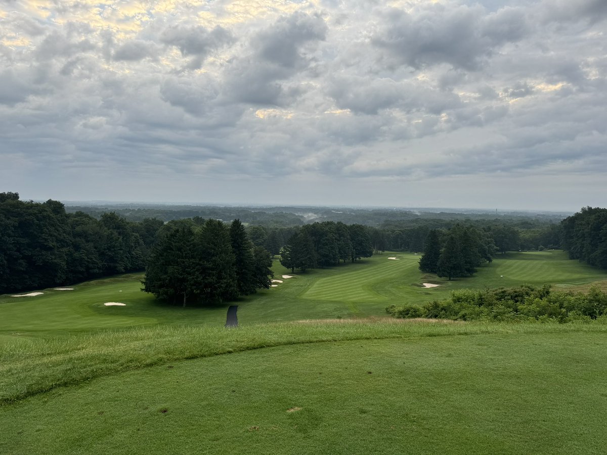 Wise Guys Committee tweet media