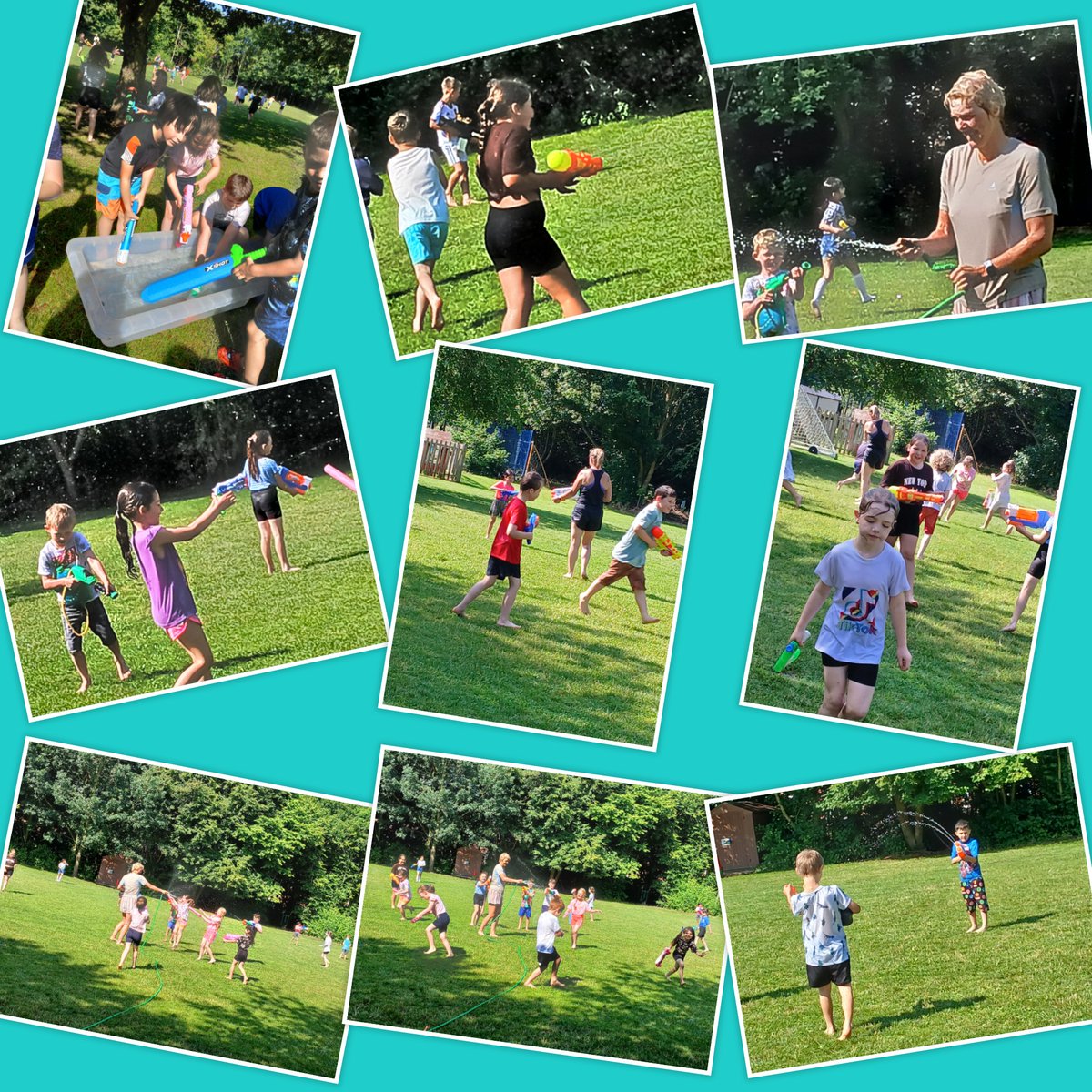 Fiona Cox Winchelsea tweet media