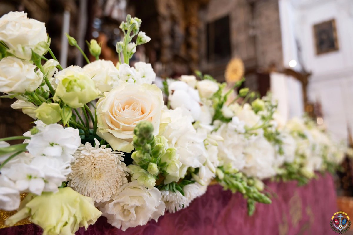 Hdad_del_Carmen's tweet photo. 𝓕𝓵𝓸𝓻 𝓮𝓼𝓬𝓸𝓰𝓲𝓭𝓪.

#marrónyblanco 

💐 @AnilFloral https://t.co/oumjv8HzrZ