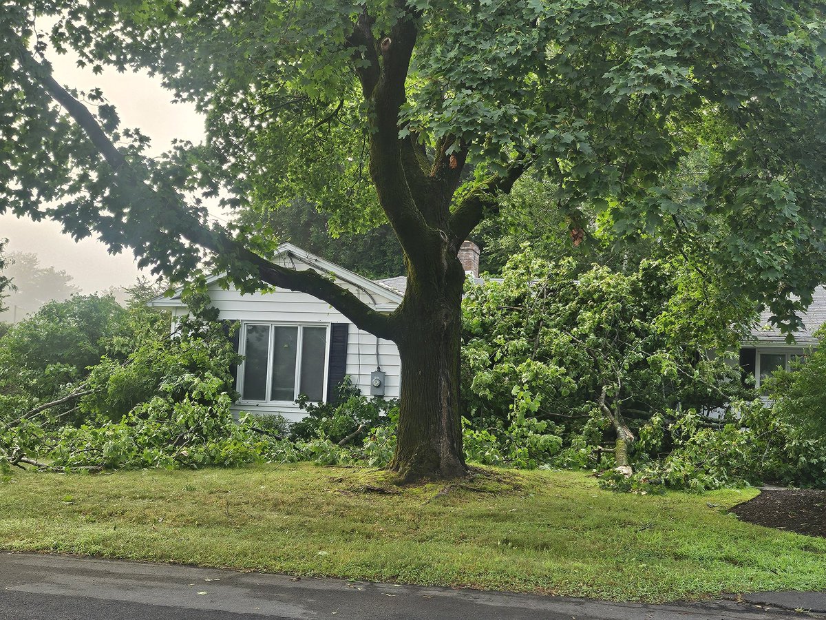 DMacLeanWOOD's tweet photo. We're surveying storm damage in Greenfield this morning as residents get their first look at what came down during Tuesday's violent storm. People describing it to us a quick and violent... Saying it brought down these limbs "like toothpicks." https://t.co/oeecEUAcVc