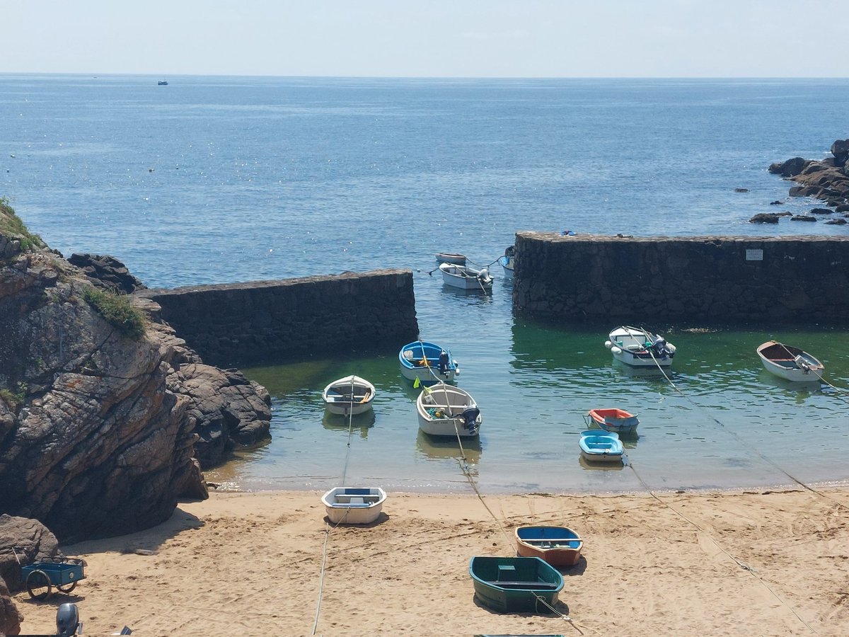 🪻 Coralie 🪻 tweet media