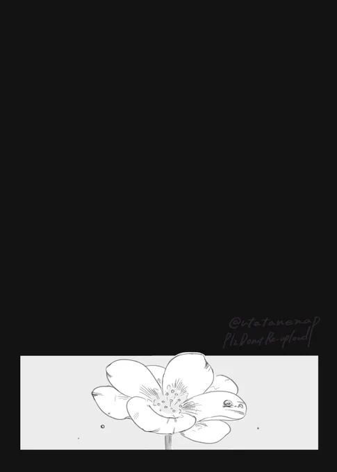④ 