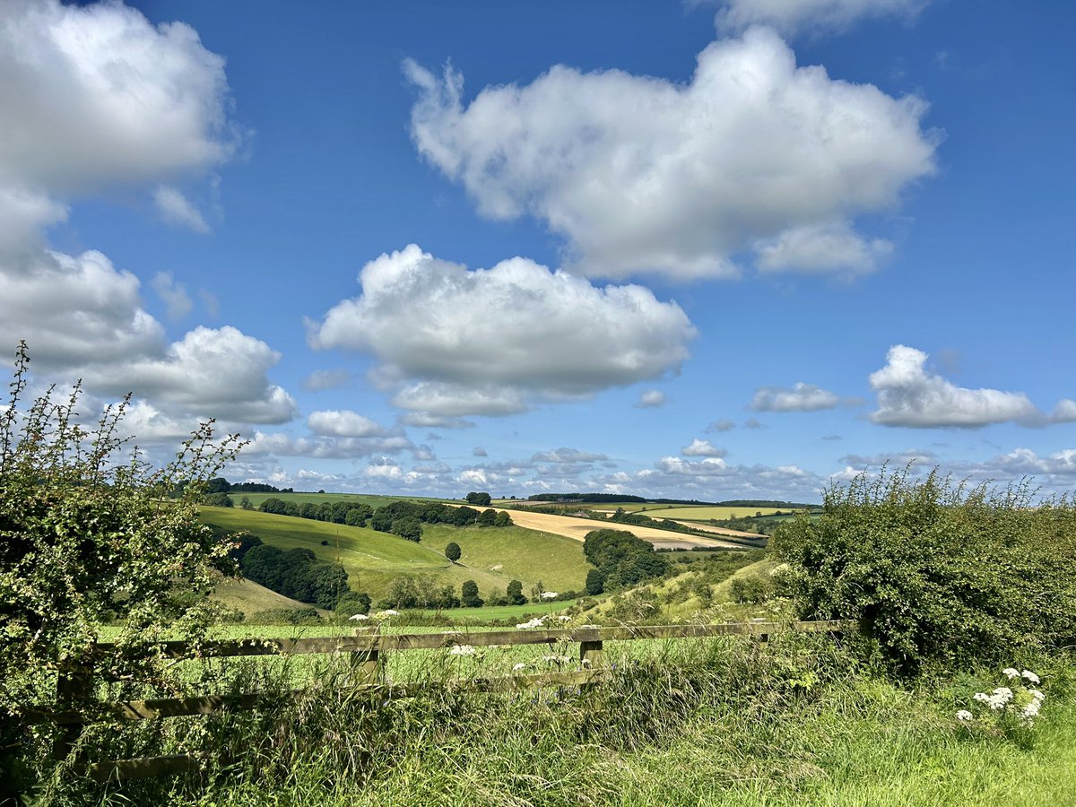A Glorious Day On The Wolds. 20°C and warm sunshine. Swallows in abundance.