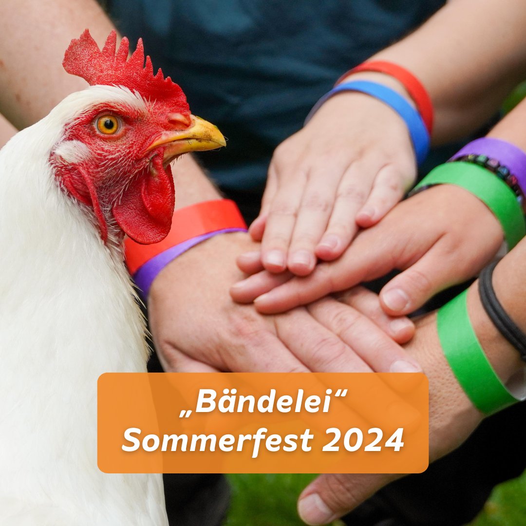 Du bist auf der Suche nach neuen Kontakten? Du möchtest Menschen kennenlernen oder dich aktivistisch vernetzen? Unsere „Bändelei“ hilft dir beim #Sommerfest am 21. Juli dabei, mit Leuten ins Gespräch zu kommen. 👥 🟢 🟣 🔵 🔴 Mehr zur „Bändelei“: ➡️ land-der-tiere.de/sommerfest-202…