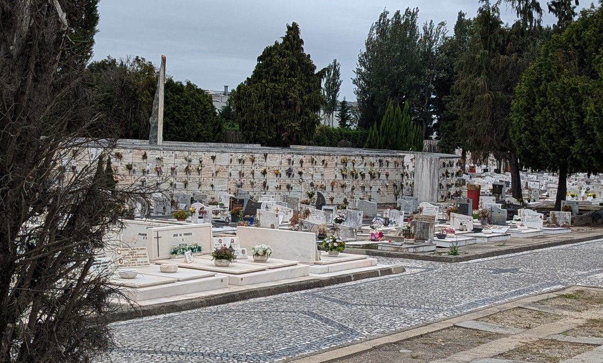 Саша не знал слово колумбарий и сказал "О Ань смотри, КАПСУЛЬНОЕ КЛАДБИЩЕ"