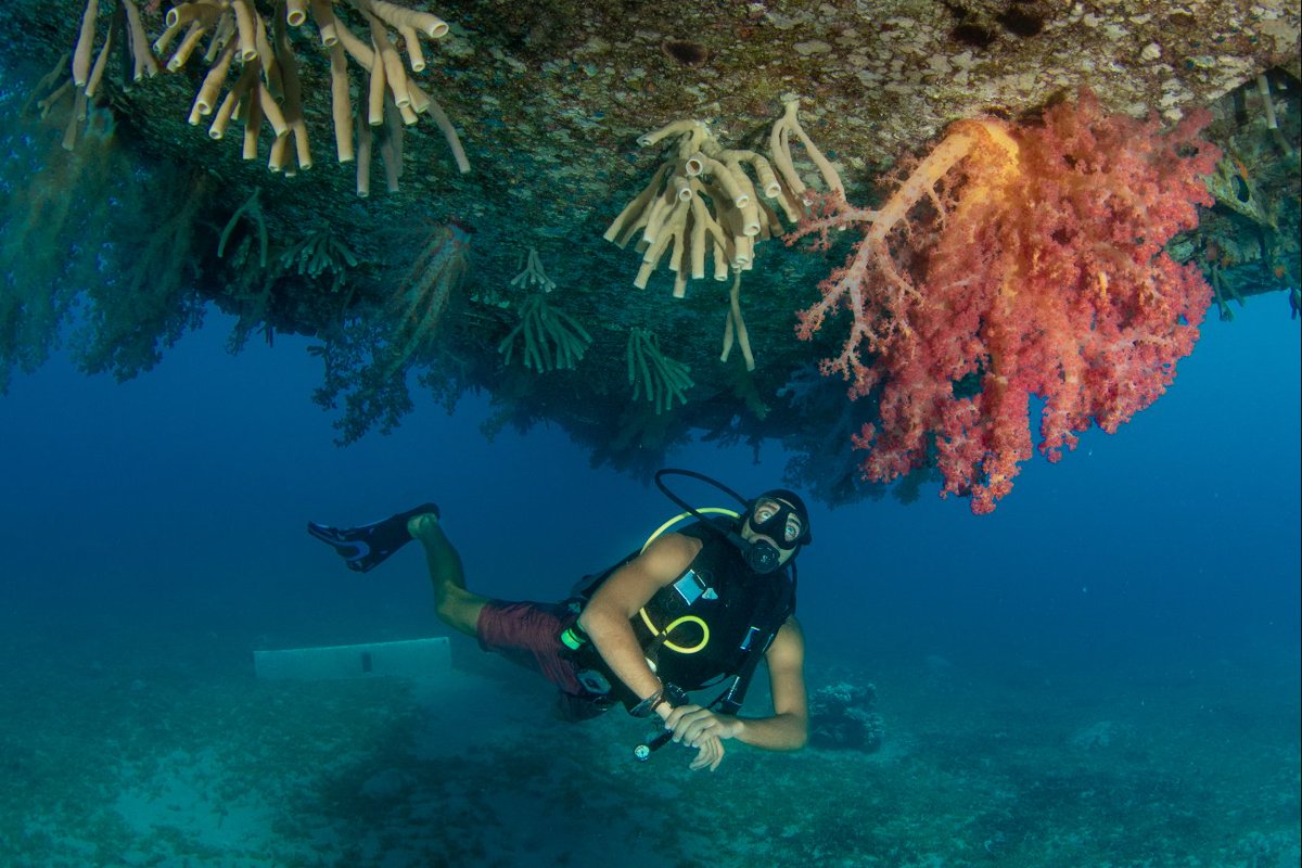 mailchi.mp/jitoa/jordan-a…
#MICE
#BusinessTravel
#JordanTourism
#ConferenceDestinations
#TravelJordan
#JordanMeetings
#IncentiveTravel
#JordanEvents
#ExploreJordan