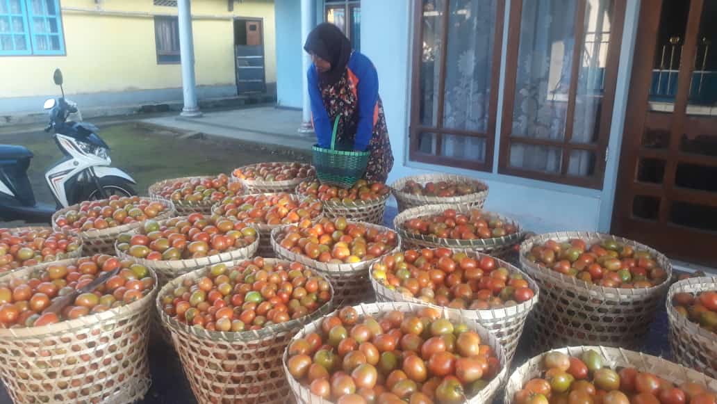 LikYoko's tweet photo. Info harga sayur di tingkat petani Ngablak,Magelang.
1.Pakcoy Rp500
2.Kobis Rp2.500
3.Sawi Putih Rp1.000
4.Timun Rp3.000
5.Jepan Rp1000
6.Terong Rp4000
7Buncis Rp2000
8.Seledri Rp5.000
9.Brokoli Rp15.000
10.Tomat Rp1.500

*harga sewaktu waktu bisa berubah https://t.co/BeB1N1Wk7G