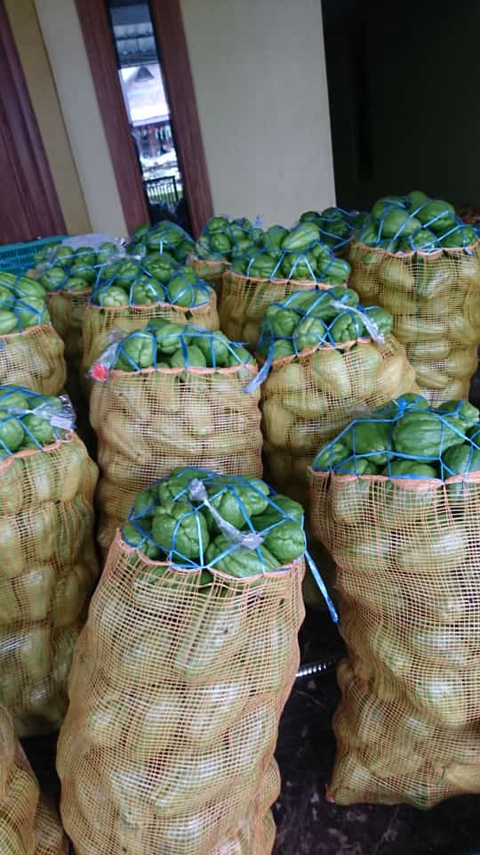 LikYoko's tweet photo. Info harga sayur di tingkat petani Ngablak,Magelang.
1.Pakcoy Rp500
2.Kobis Rp2.500
3.Sawi Putih Rp1.000
4.Timun Rp3.000
5.Jepan Rp1000
6.Terong Rp4000
7Buncis Rp2000
8.Seledri Rp5.000
9.Brokoli Rp15.000
10.Tomat Rp1.500

*harga sewaktu waktu bisa berubah https://t.co/BeB1N1Wk7G