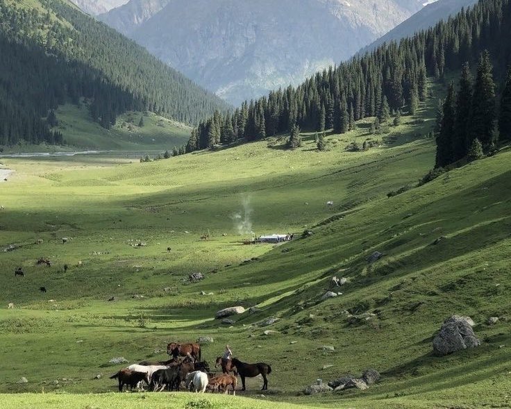 𝒃 ♡︎ 𝒔𝒕𝒓𝒐𝒃𝒆𝒓𝒊 tweet media