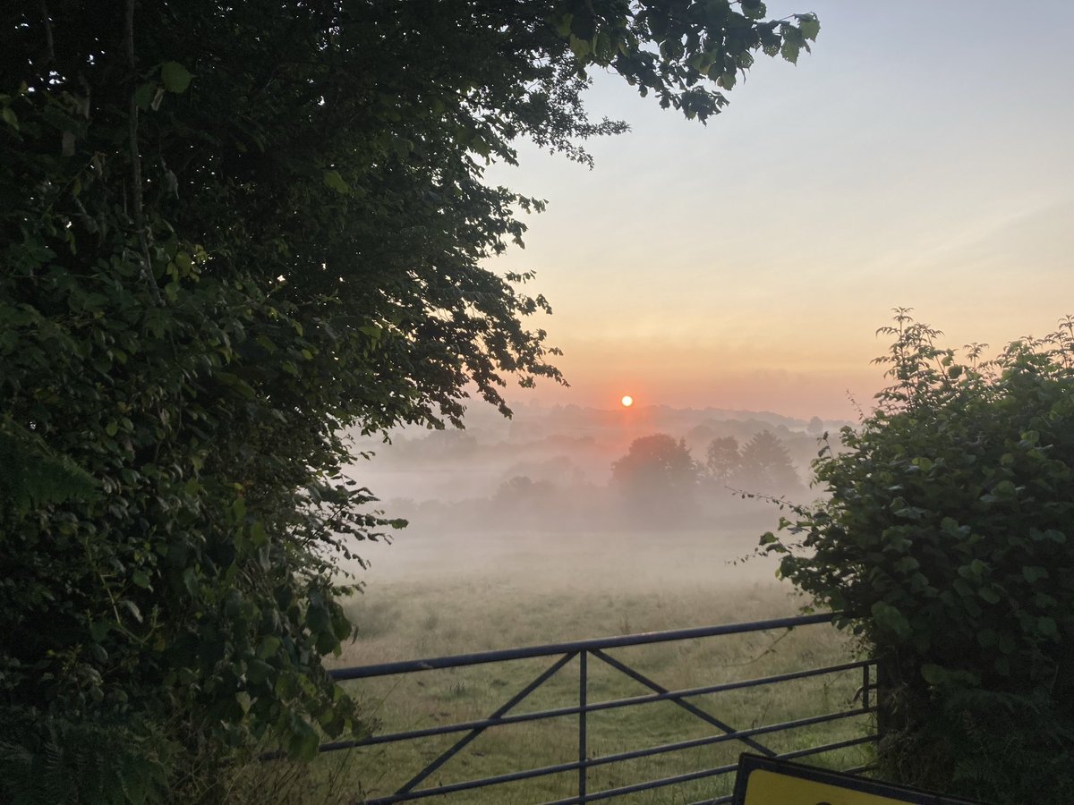 andrewnewgate's tweet photo. Having 2 bonkers dogs waking at 5.30am has some advantages.
#sunrise #gsp #pointers Absolutely beautiful out and about this morning https://t.co/tu5dZMdWLV