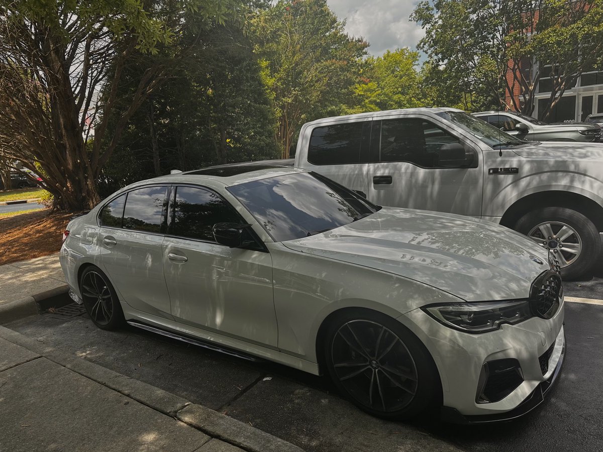 dandogg 😶‍🌫️ tweet media