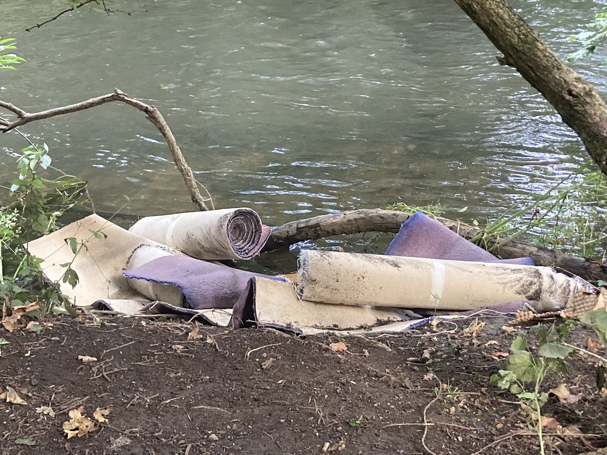 Bit of caroet anyone? Flytipped in the wandle between sainsburys and Dane road #muckymerton