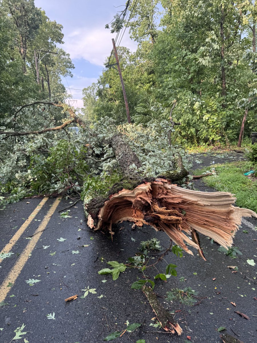 _lyssluna's tweet photo. @mikestanislaw Upper bucks, right outside my house. https://t.co/KUcekWaUbz