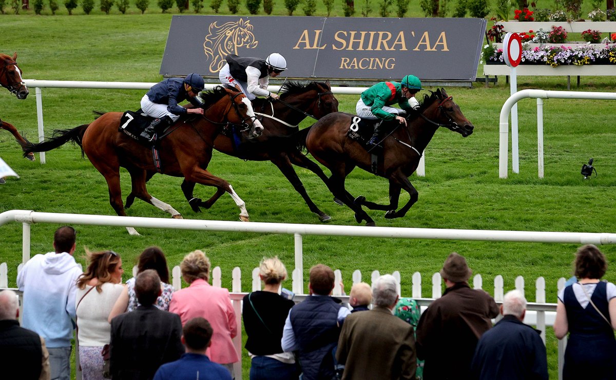 Naas Racecourse (@naasracecourse) on Twitter photo HANALIA💚❤️ winner of the <a href="/alshiraaracing/">Al Shira’aa Racing Ltd</a> Naas Oaks Trial bids to do the double as she is supplemented for the Irish Oaks on Saturday <a href="/curraghrace/">The Curragh Racecourse</a> for <a href="/JohnnyMurtagh/">Johnny Murtagh</a> & <a href="/AgaKhanStuds/">Aga Khan Studs</a>
#NurseryOfChampions HANALIA💚❤️ winner of the <a href="/alshiraaracing/">Al Shira’aa Racing Ltd</a> Naas Oaks Trial bids to do the double as she is supplemented for the Irish Oaks on Saturday <a href="/curraghrace/">The Curragh Racecourse</a> for <a href="/JohnnyMurtagh/">Johnny Murtagh</a> & <a href="/AgaKhanStuds/">Aga Khan Studs</a>
#NurseryOfChampions