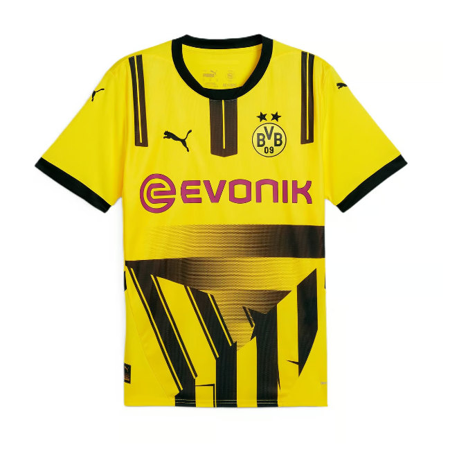 BVB Newsblog tweet media